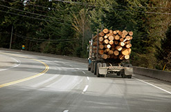 Truck with log cargo